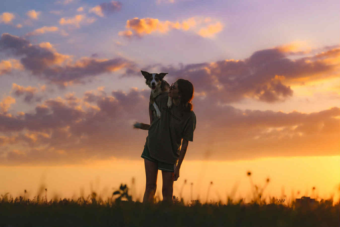 Trick Dog Class - Private Training