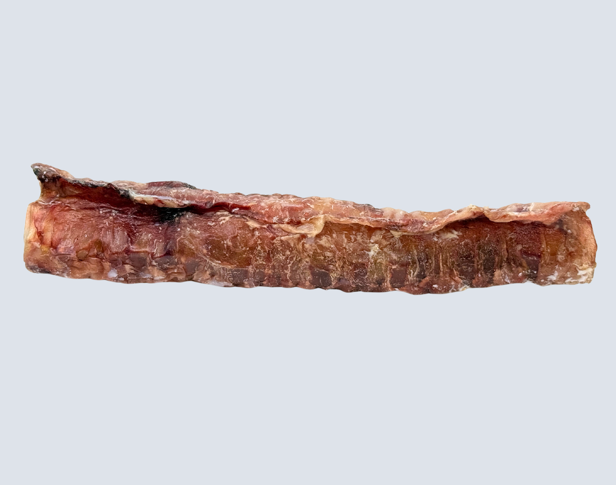 12” All-Natural Beef Trachea Chew