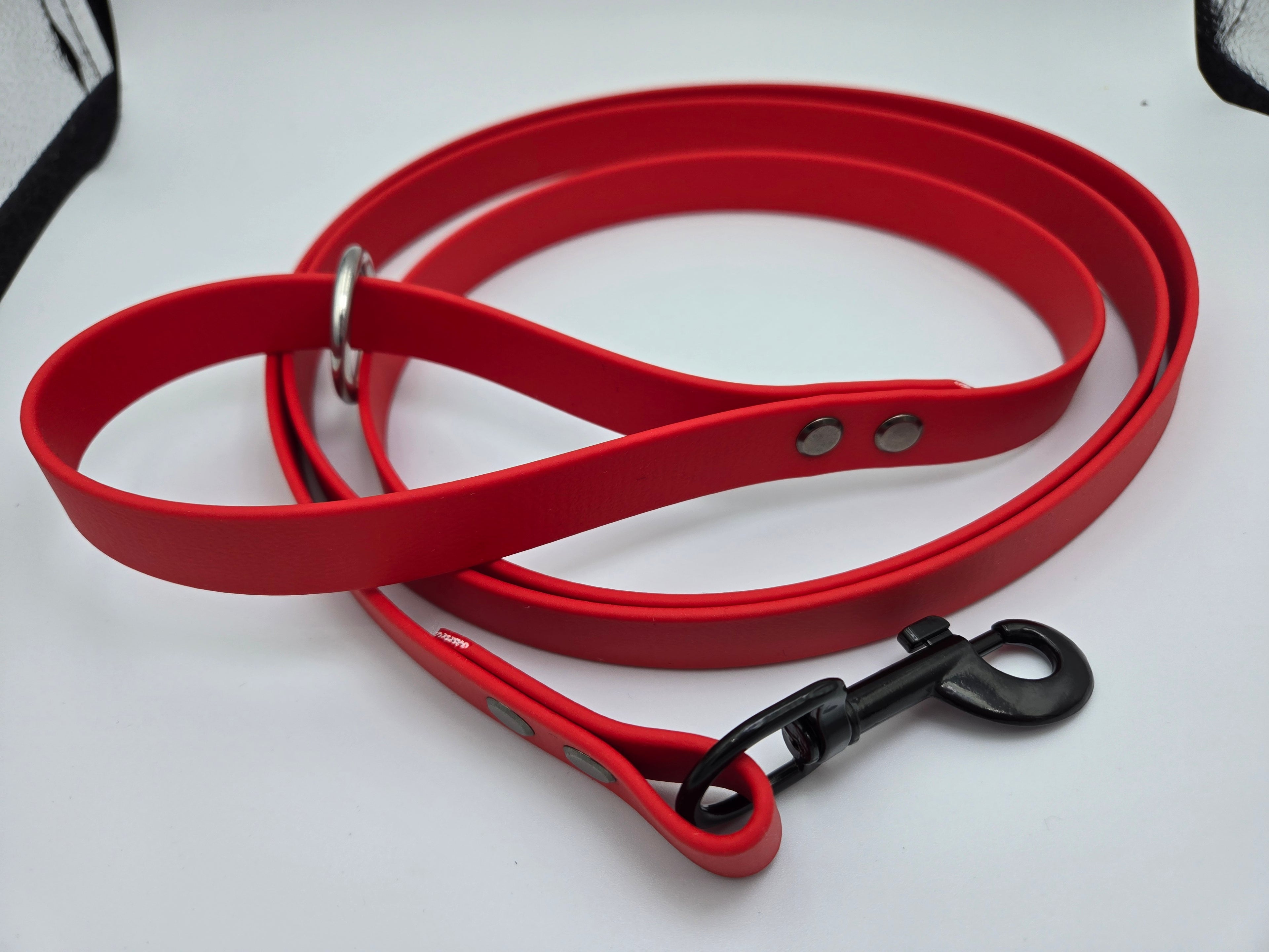 6ft Biothane Dog Leash – 3/4” Wide