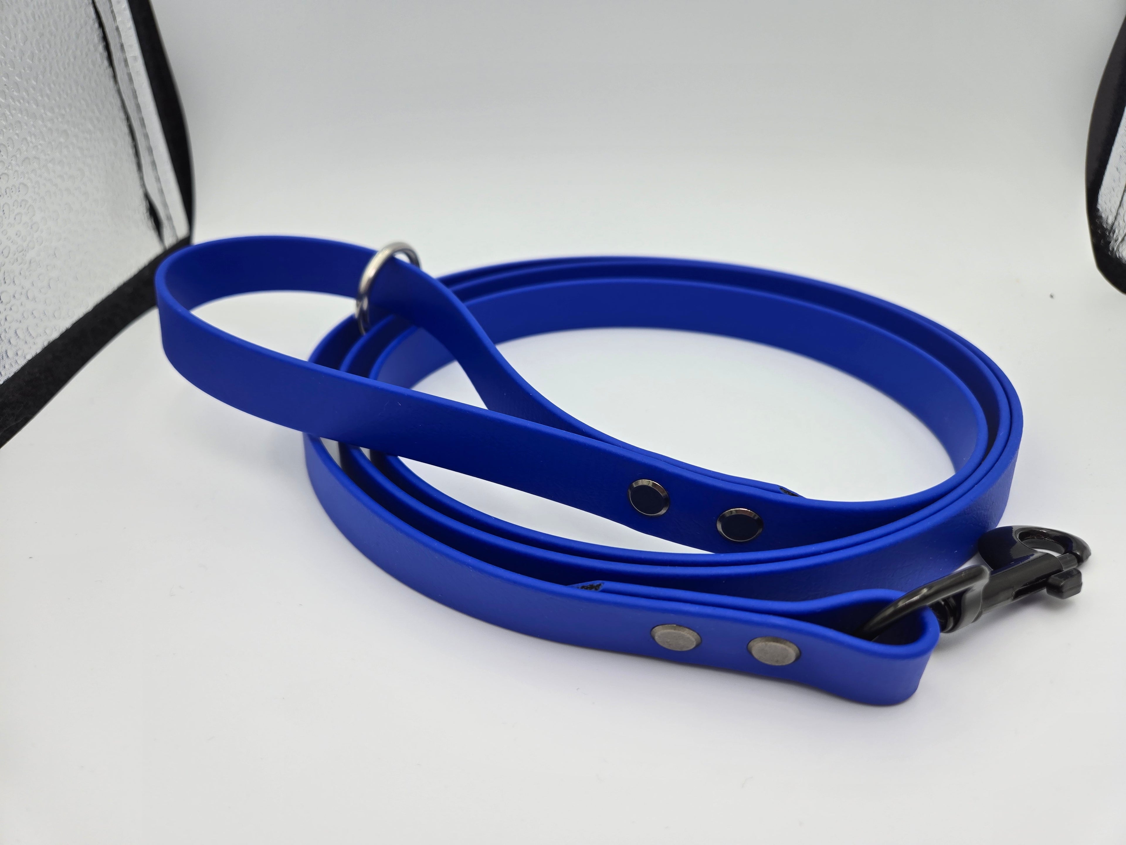 6ft Biothane Dog Leash – 3/4” Wide