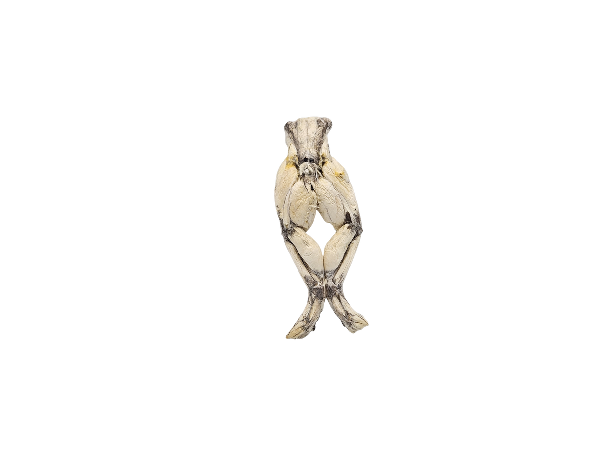 Freeze dried frog legs