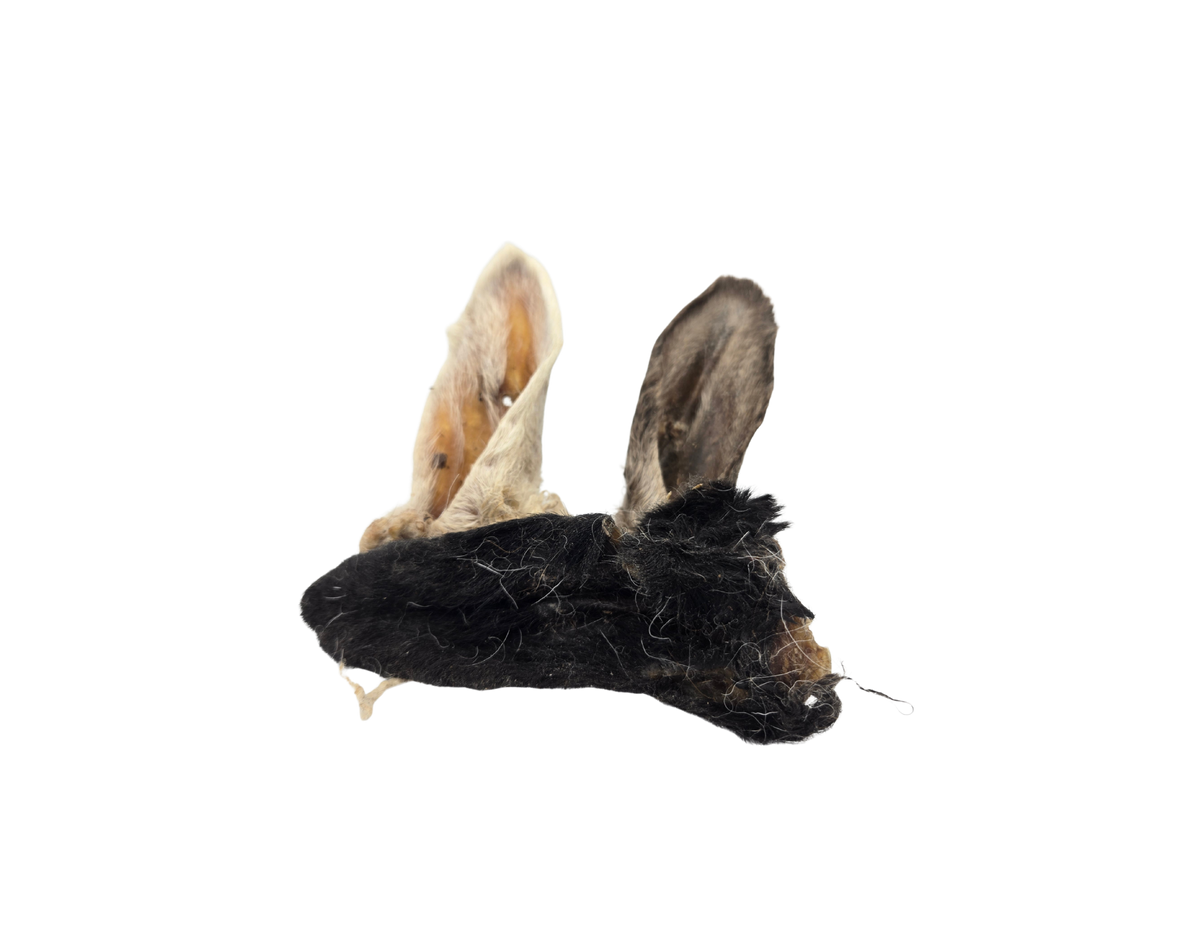 Furry Lamb Ears