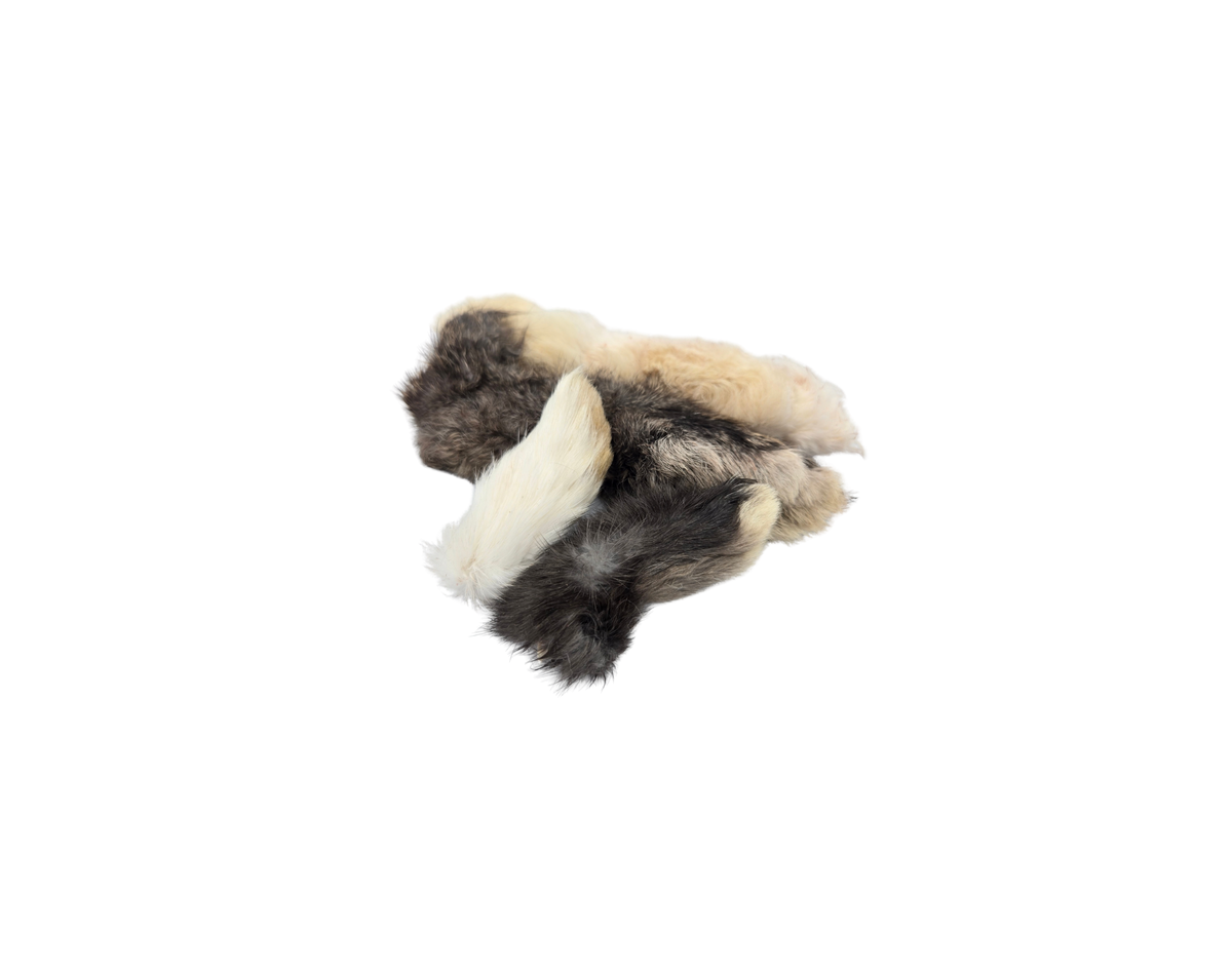 Dehydrated Rabbit Feet