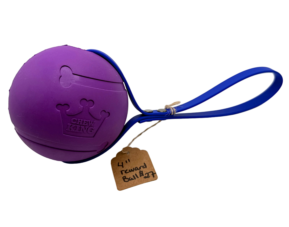4" Reward Ball with Biothane Handle