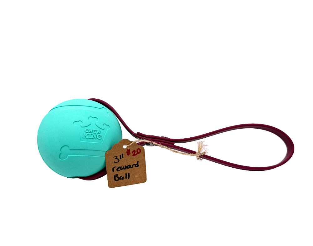 3" Reward Ball with Biothane Handle
