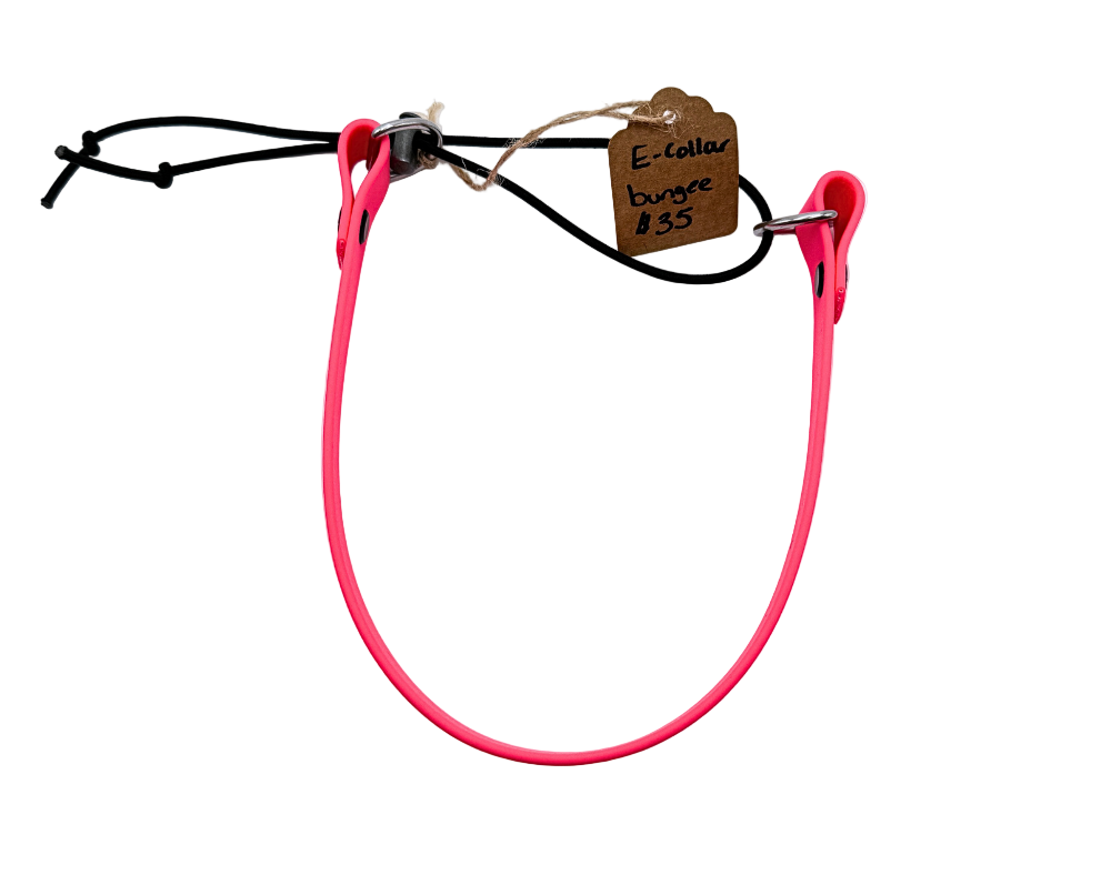 E-Collar Biothane Bungee Collar for Mini & Micro Educators
