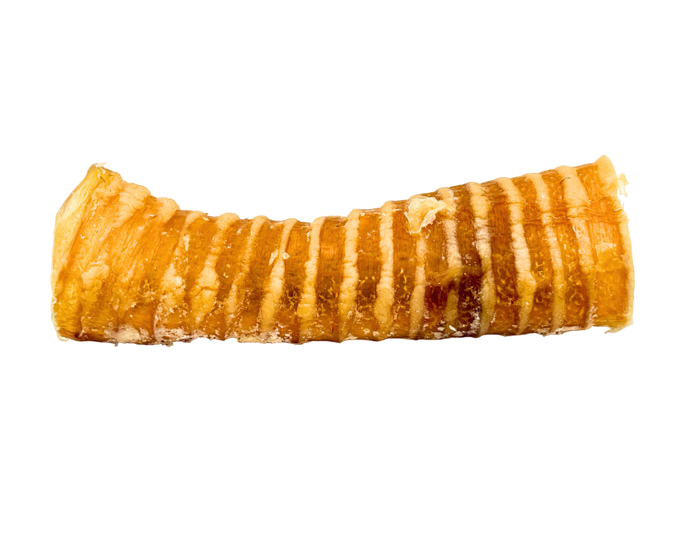 6" All-Natural Beef Trachea Chew