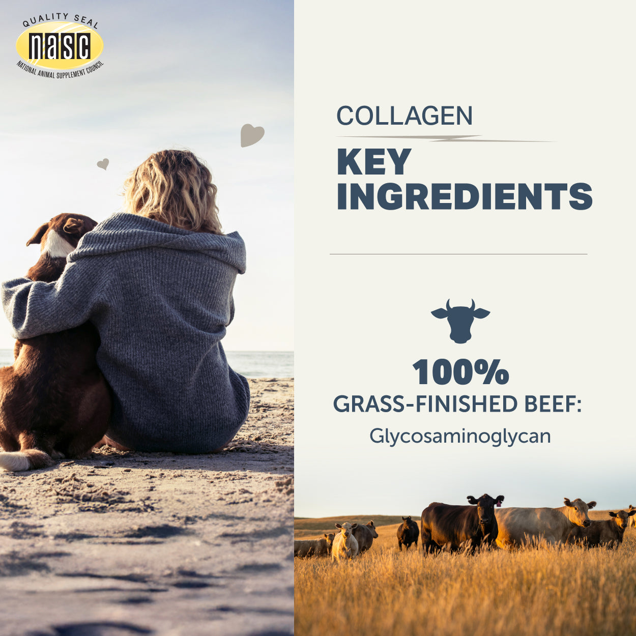 Collagen