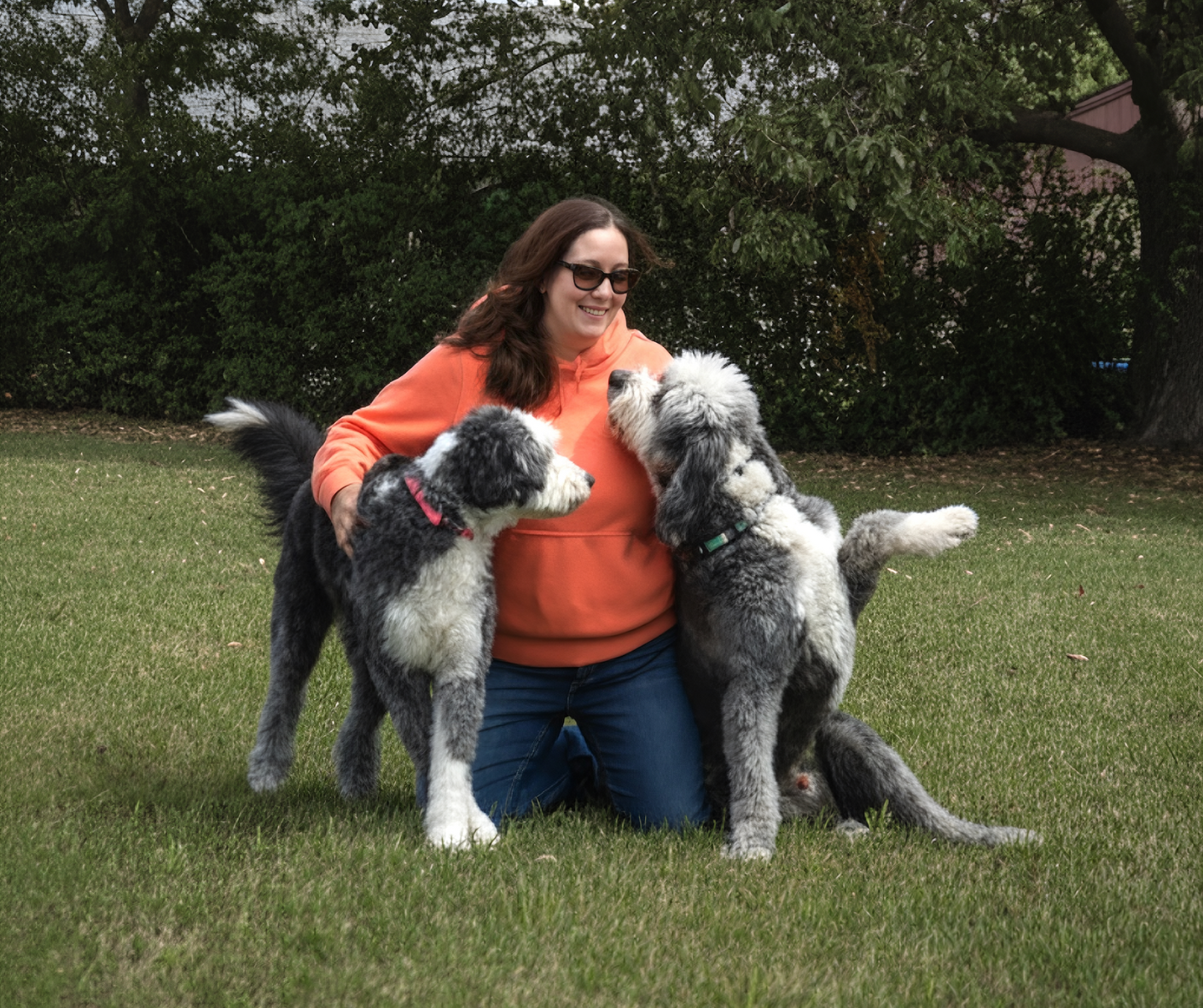 Owner Dawn with her two dogs in the glass