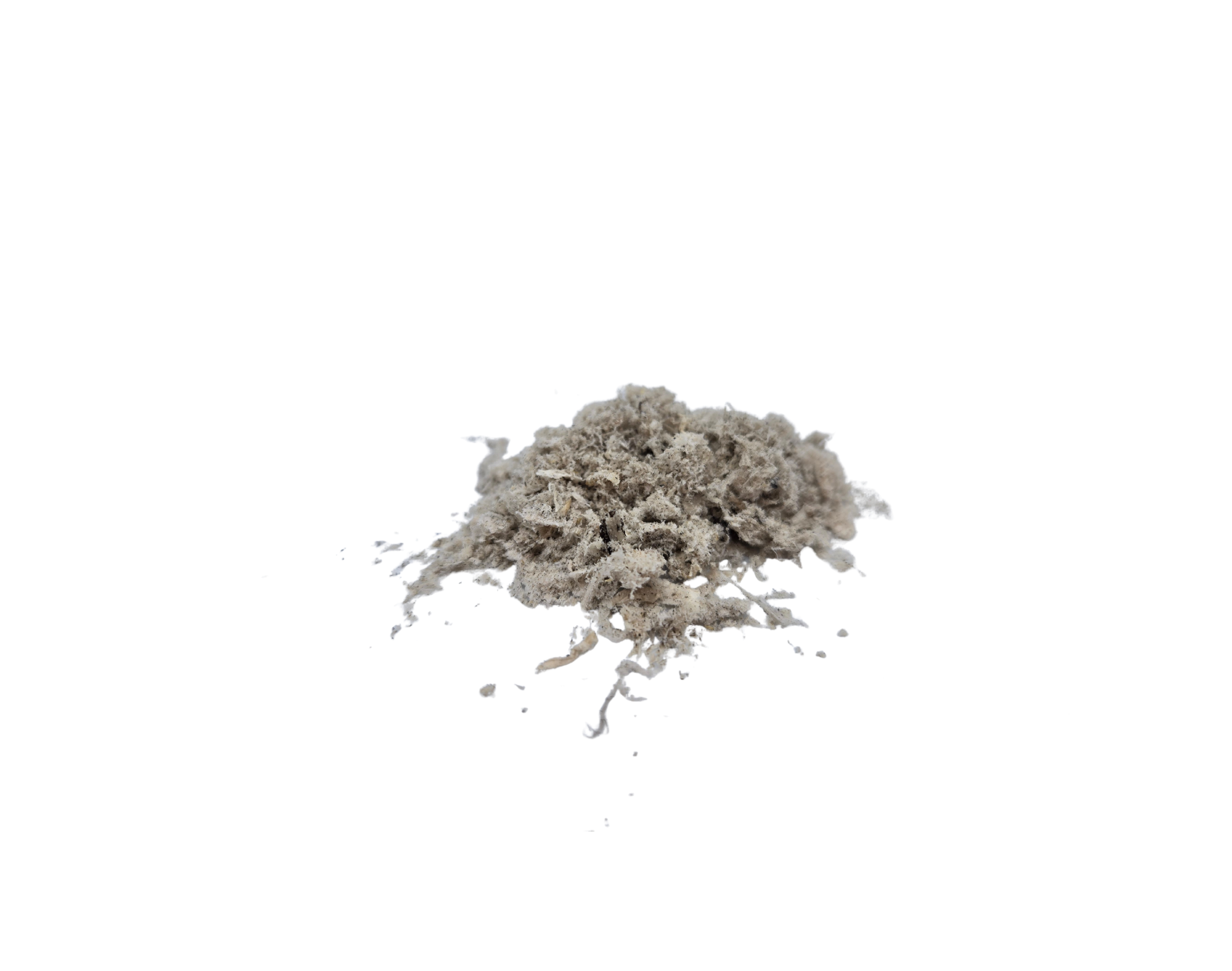 Freeze-Dried Water Buffalo Tripe - 25g bag