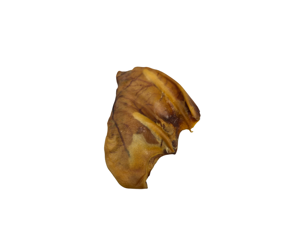 Pig Ears XL