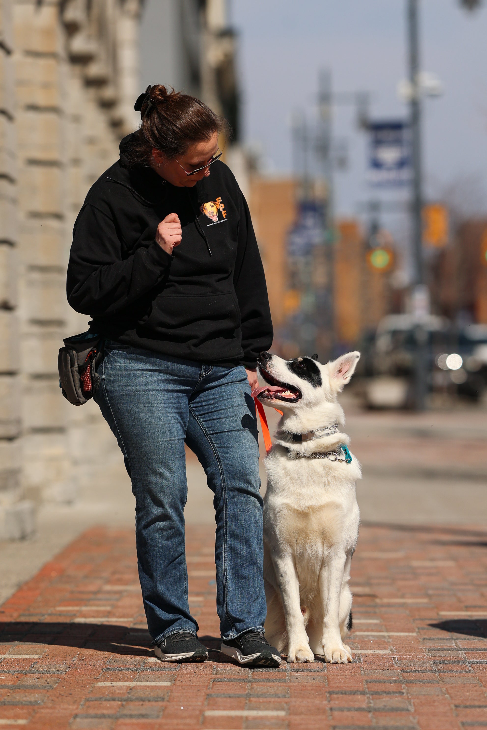 Basic Obedience Program