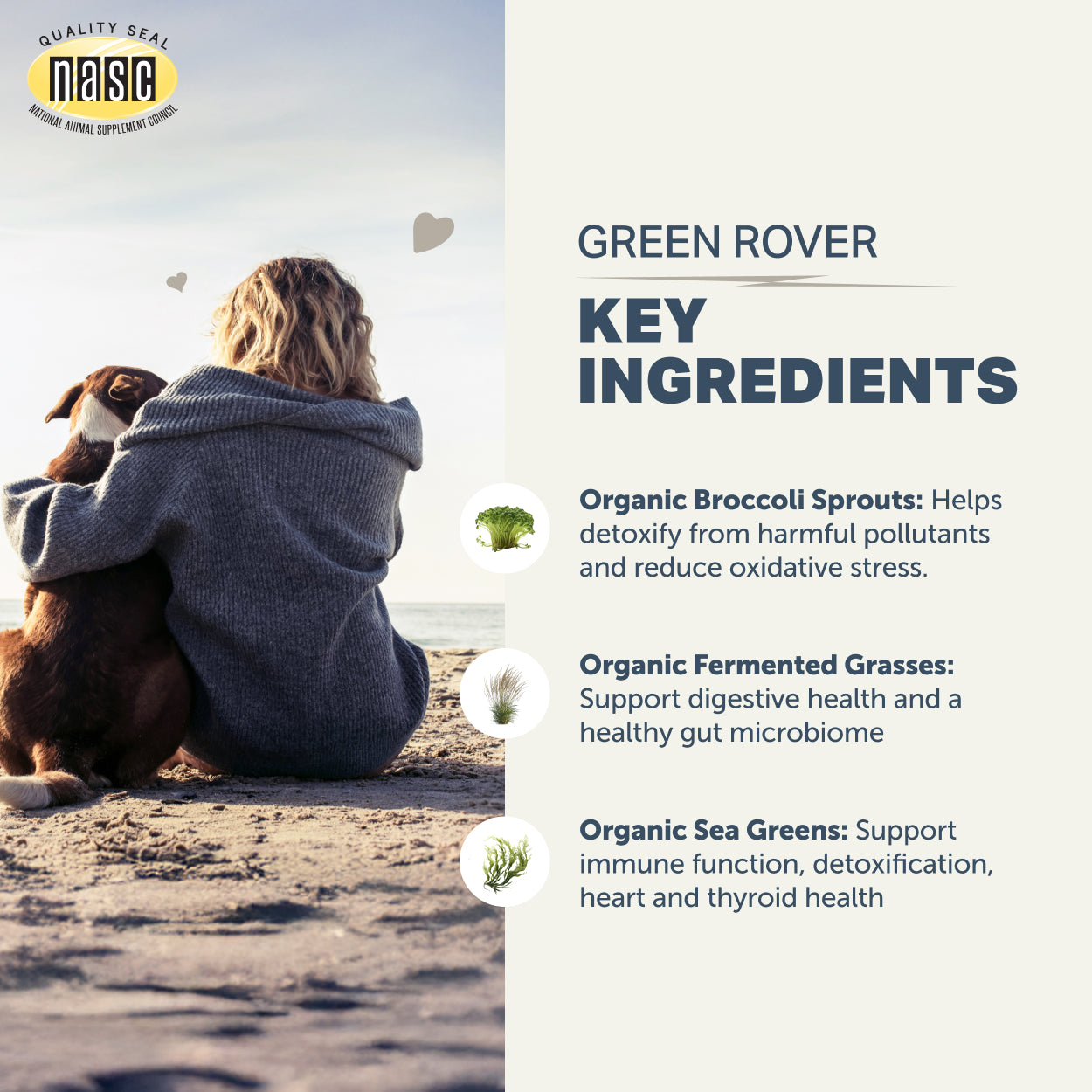 Green Rover
