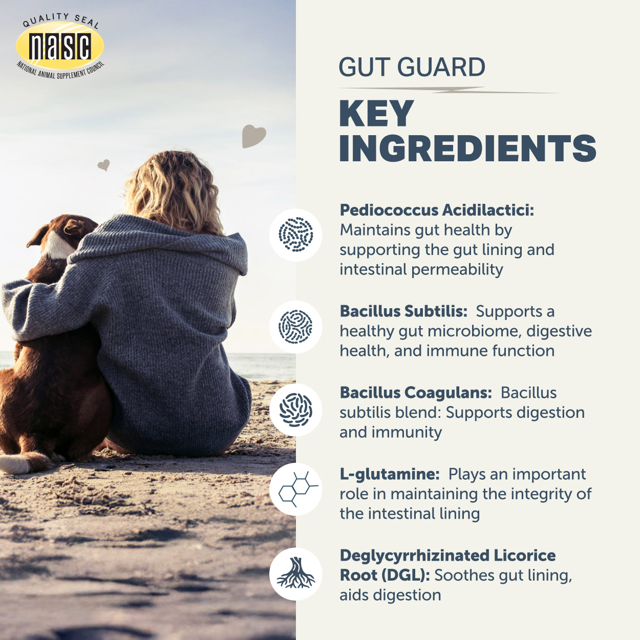 Gut Guard
