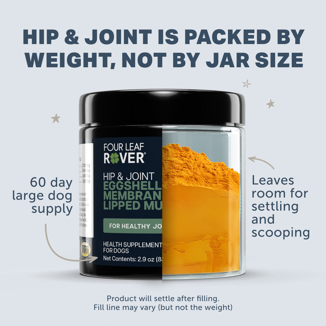 Hip and Joint