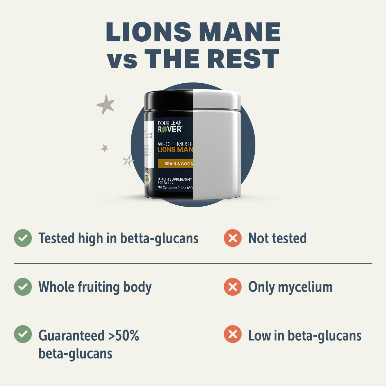 Lion's Mane