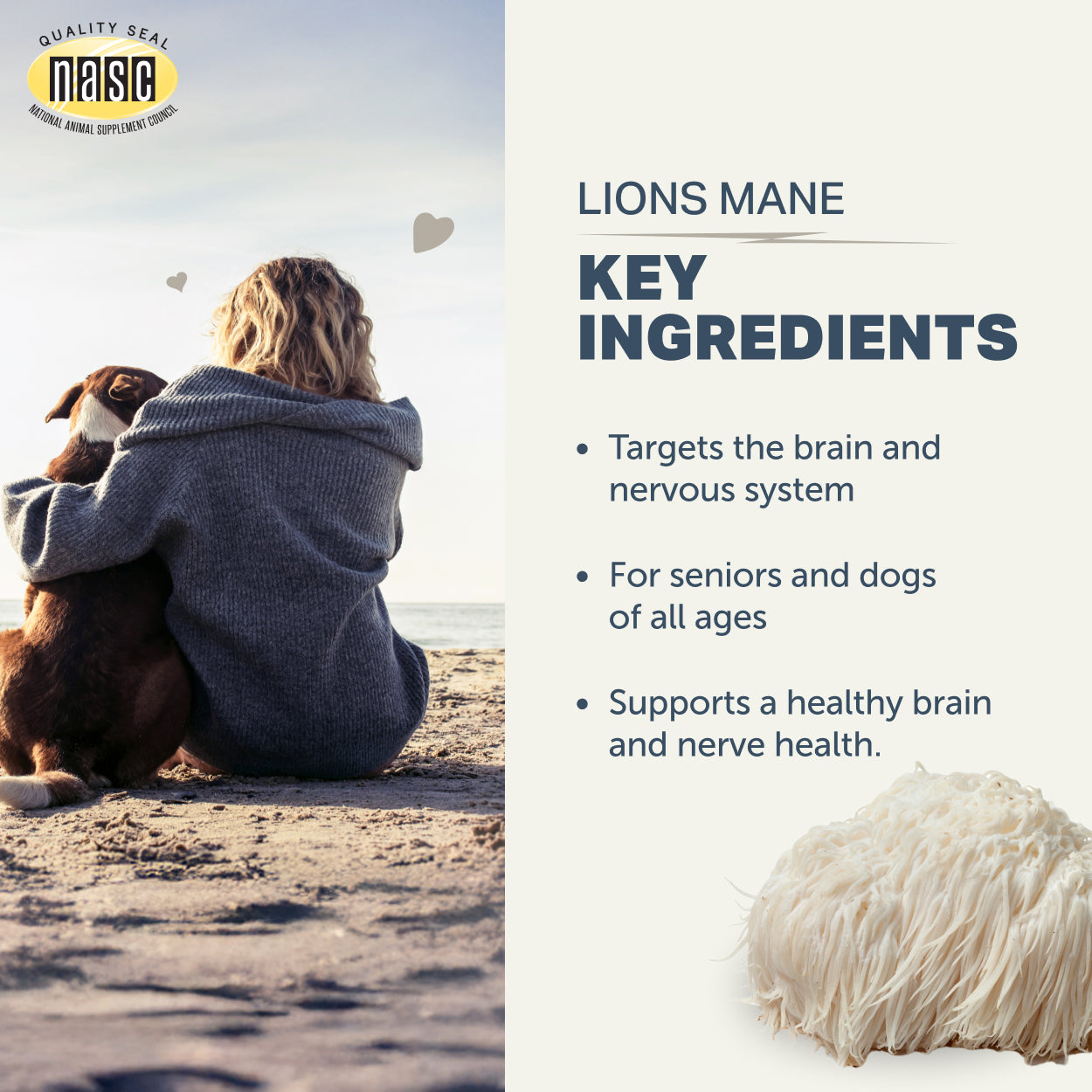 Lion's Mane