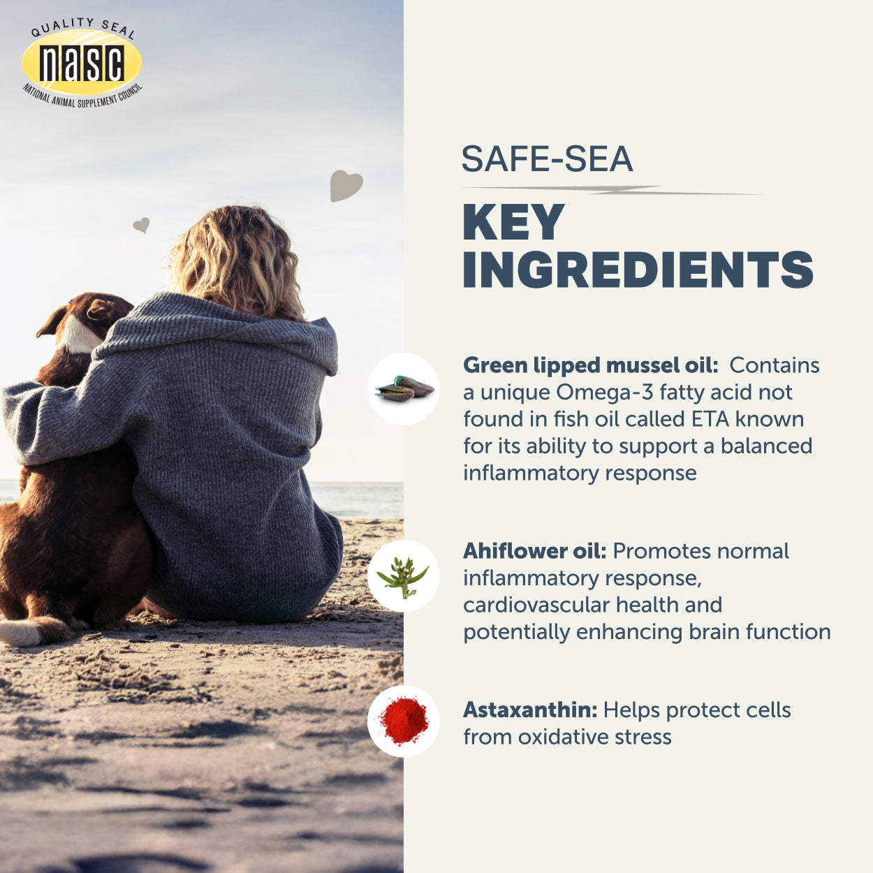 Safe-Sea