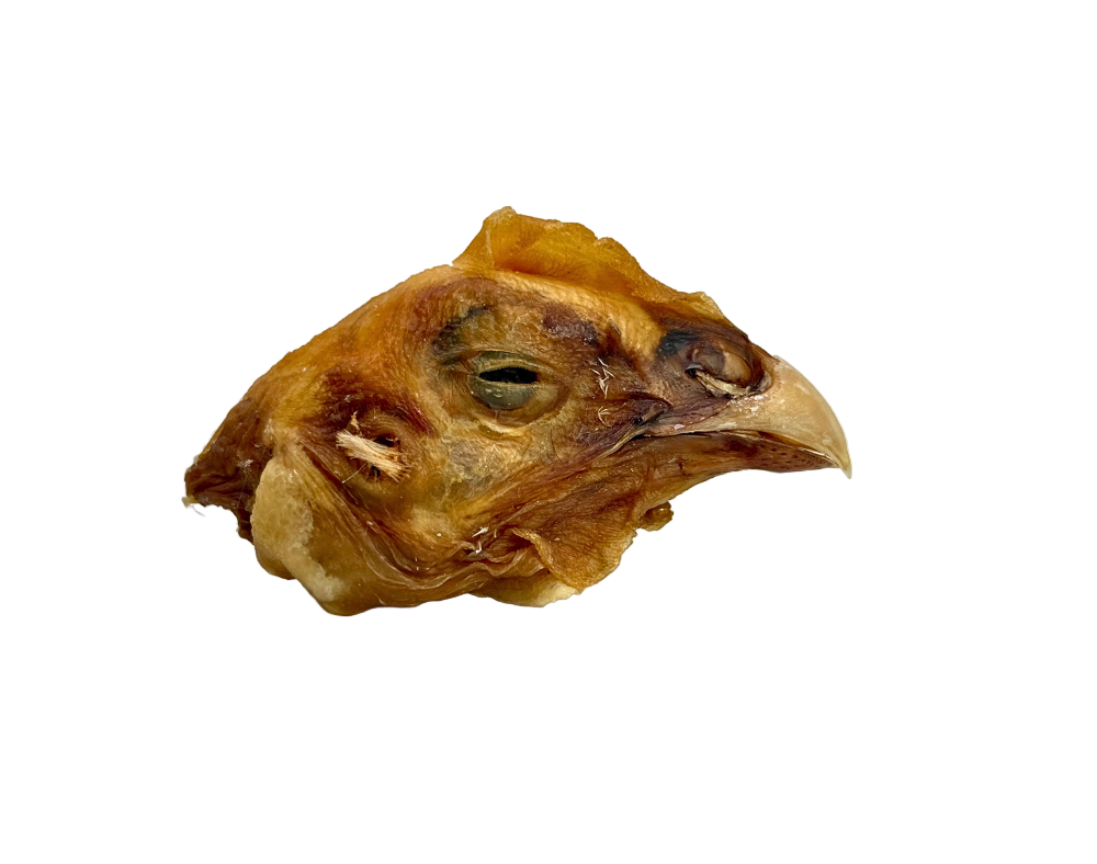Dehydrated Chicken Head