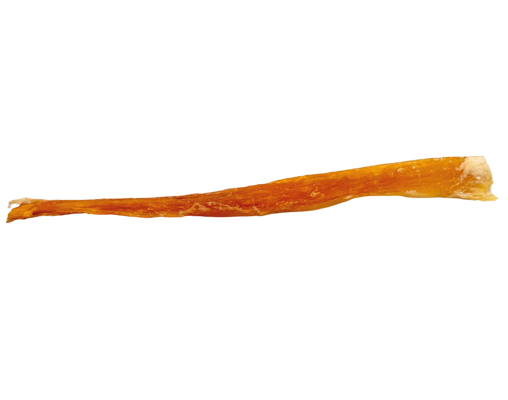 Large Beef Dental Tendon