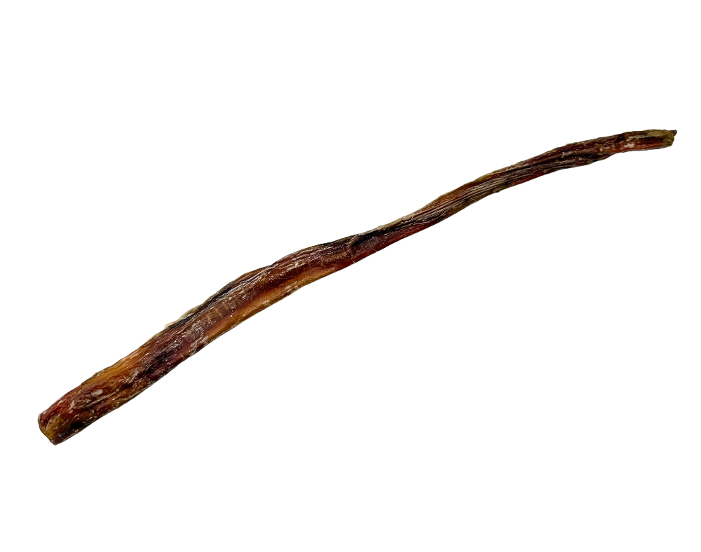 12" Natural Veal Pizzle Dog Chew