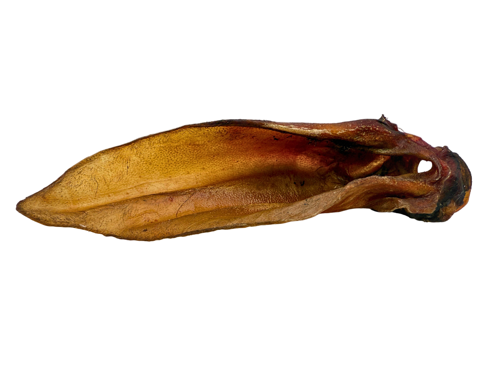 Water Buffalo Ears
